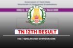 TN 12th Result 2026: HSE (+2) Marksheet Download Link Available Soon 